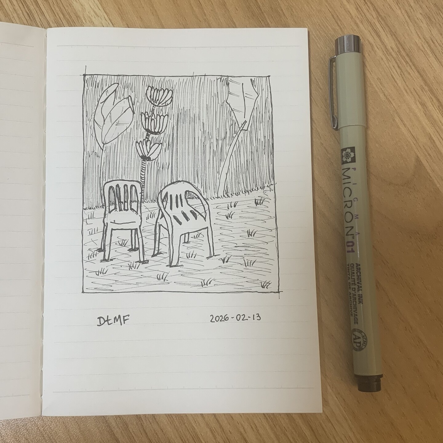 Black and white drawing. There are 2 plastic chairs in the foreground in a dirt ground. Some trees in the background like a banana tree and maybe a palm tree. "DtMF" is written outside of the drawing frame.